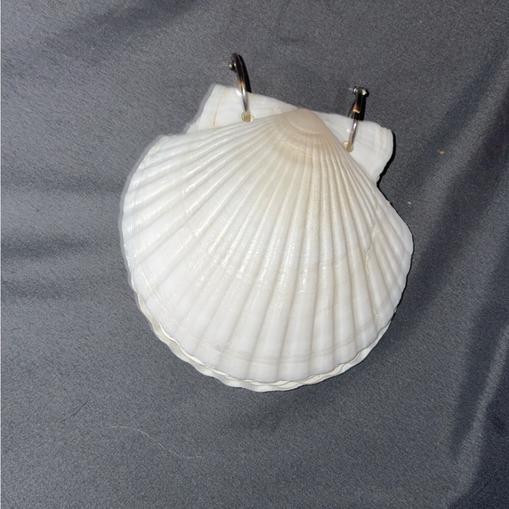 White Seashell notebook